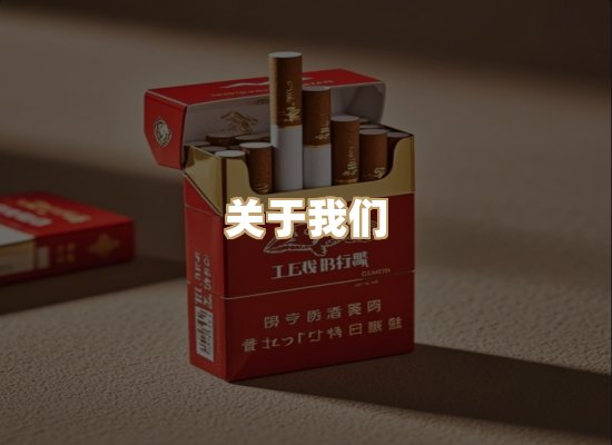 关于御龙烟网